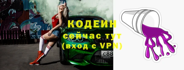 ГАЛЛЮЦИНОГЕННЫЕ ГРИБЫ Абаза