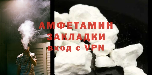 ГАЛЛЮЦИНОГЕННЫЕ ГРИБЫ Абаза