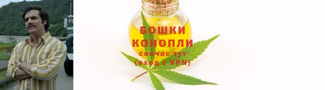 мескалин Няндома