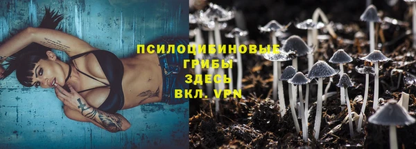 ГАЛЛЮЦИНОГЕННЫЕ ГРИБЫ Абаза