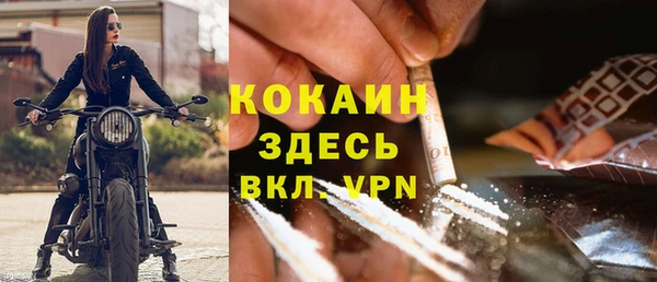 ГАЛЛЮЦИНОГЕННЫЕ ГРИБЫ Абаза
